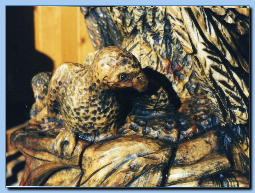 2-30 eagle  perched, half-spread wings-archive-0002